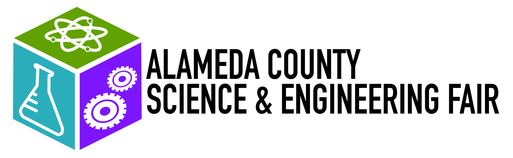 science and engineering fair logo